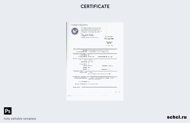 цифровая загрузка образца PSD шаблона свидетельства о регистрации копирайта в СШ